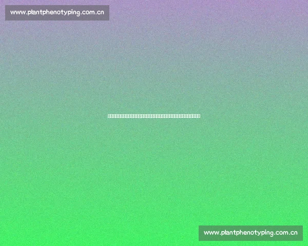 《星汉灿烂》剧情分集全解：从初遇到深情共赴，揭示每一幕情感纠葛与命运交织