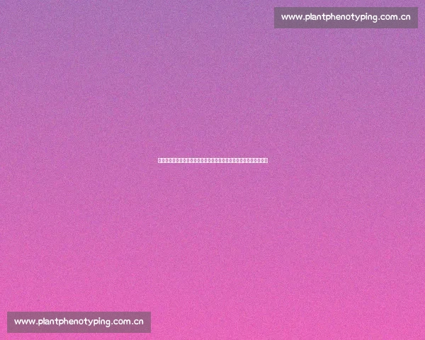 半暖时光围绕青春成长爱情纠葛的深度剧情解析全景展现人物命运走向 半暖时光围绕青春成长爱情纠葛的深度剧情解析全景展现人物命运走向