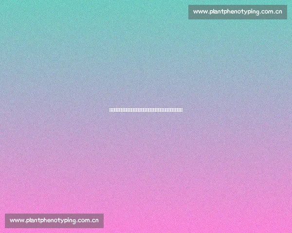 围绕狐狸的夏天第一季情感与成长的暖心故事探索历程细腻展现瞬间