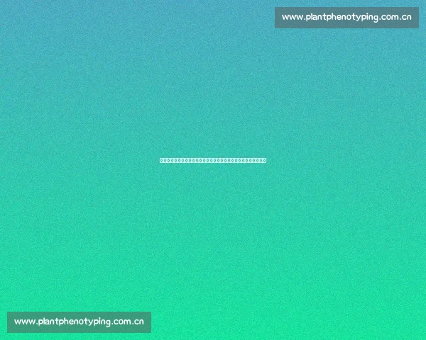 探秘以雨偏偏风渐渐是什么歌背后动人旋律与创作心境深度解析全面 探秘以雨偏偏风渐渐是什么歌背后动人旋律与创作心境深度解析全面