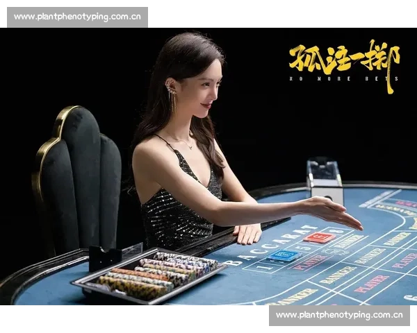 《孤注一掷：在极限挑战中寻求突破与生存的真实抉择》