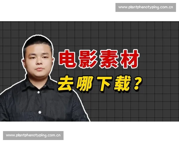 盘点优质电影解说视频素材资源平台全面精选推荐实用指南大全篇集