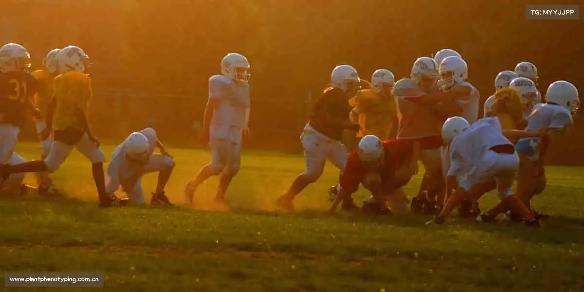 <strong>高清乱码免费网站入口入口</strong>深耕影视行业沃土，打造有温度、有力量的视听盛宴🔥